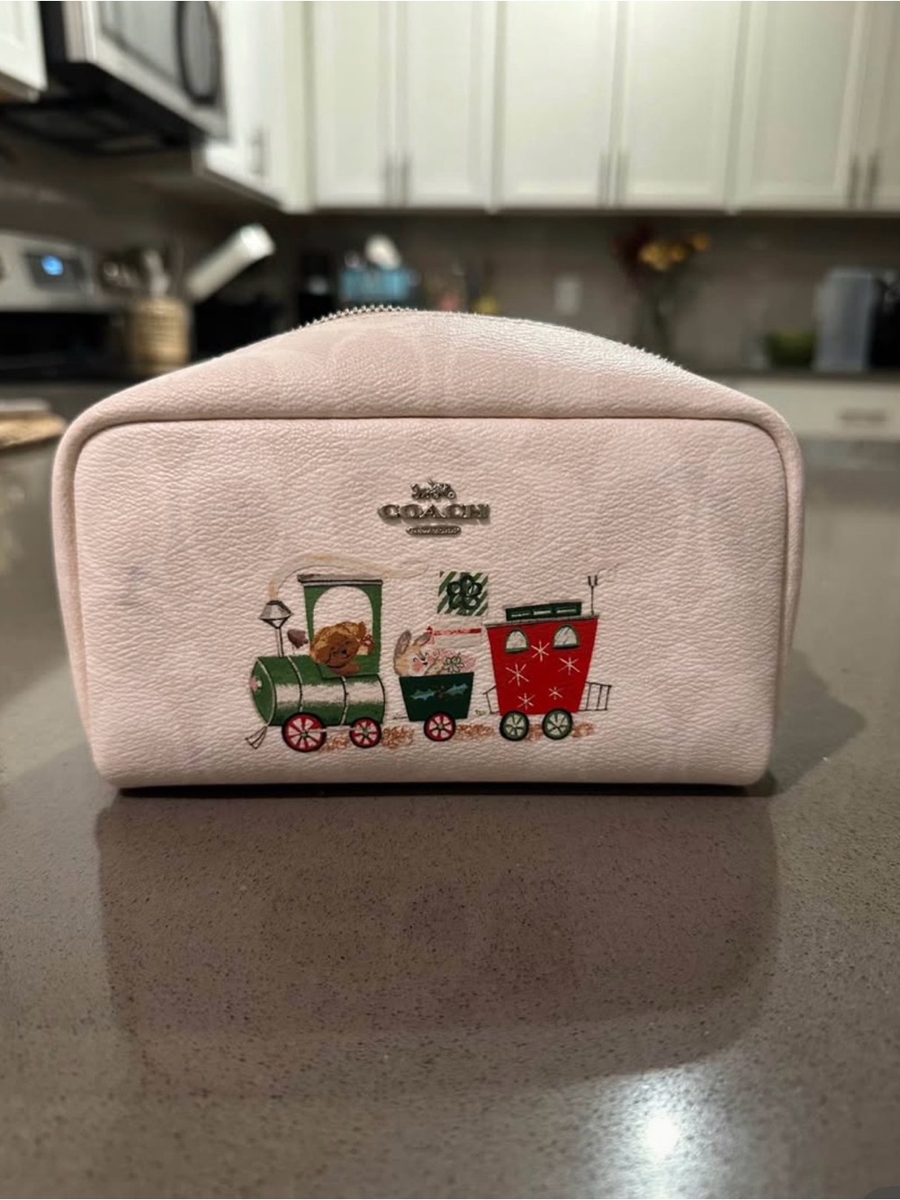 Coach Pink Kids Train Print Zip Pouch